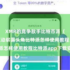 XMR的竞争敌手比特币派（BTC）也驱动崭露头角比特派怎样使用教程比特派app下载安