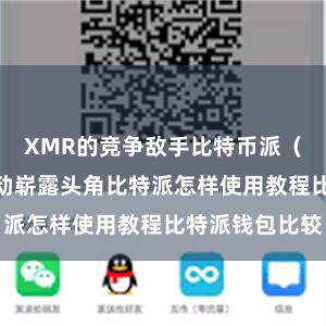 XMR的竞争敌手比特币派（BTC）也启动崭露头角比特派怎样使用教程比特派钱包比较